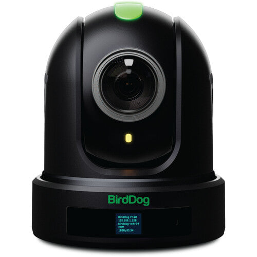 BirdDog Eyes P110 1080p Full NDI PTZ Camera