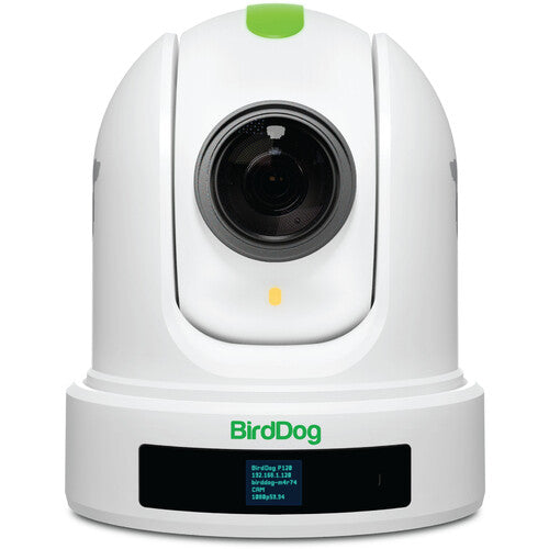 BirdDog Eyes P110 1080p Full NDI PTZ Camera