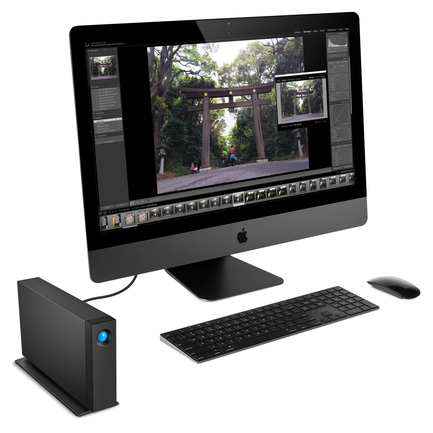 LaCie d2 Professional 20TB STHA20000800