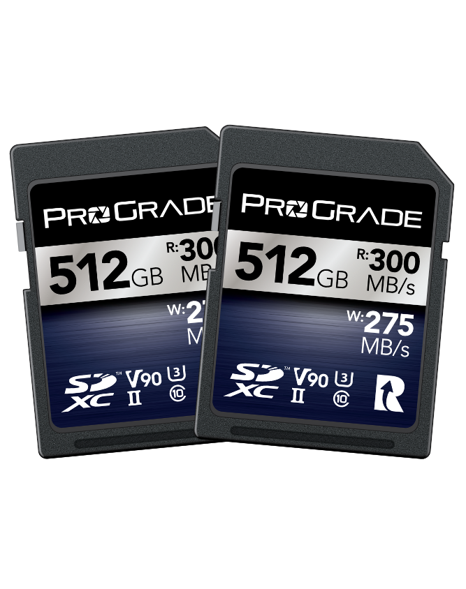 ProGrade Digital SDXC UHS-II V90 300R Iridium Memory Card