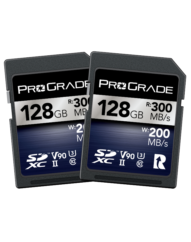 ProGrade Digital SDXC UHS-II V90 300R Iridium Memory Card