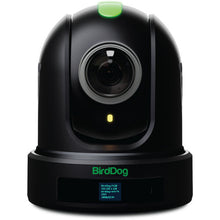 BirdDog Eyes P110 1080p Full NDI PTZ Camera