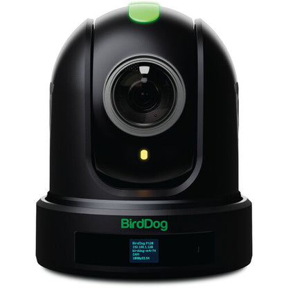 BirdDog Eyes P110 1080p Full NDI PTZ Camera