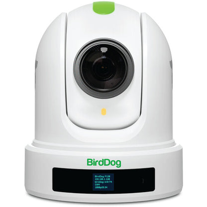 BirdDog Eyes P110 1080p Full NDI PTZ Camera