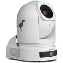 BirdDog P240 40X Full NDI PTZ Camera with HDMI/3G-SDI