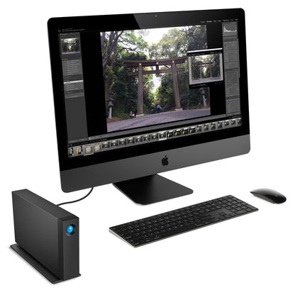 LaCie d2 Professional 20TB STHA20000800