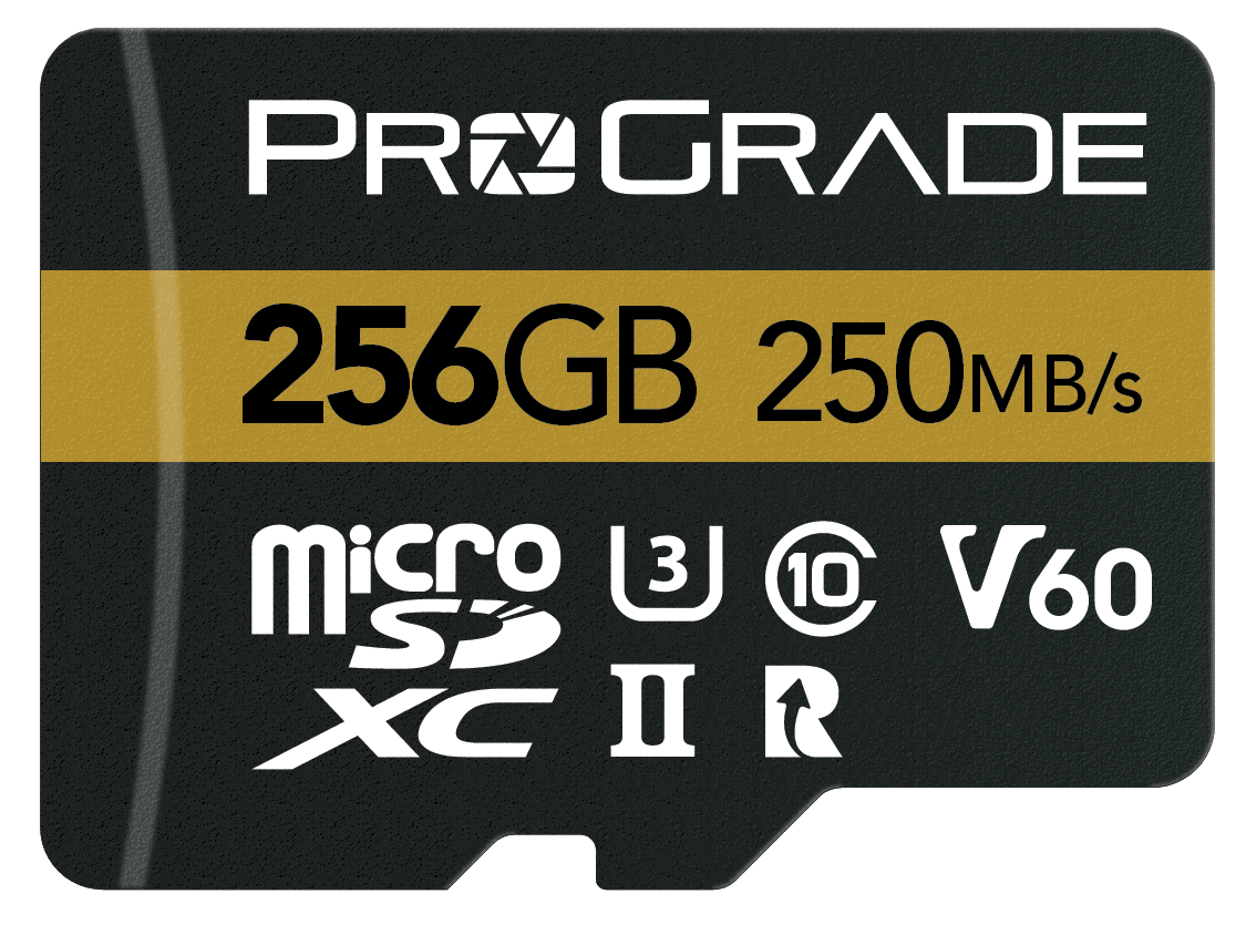 microSDXC UHS-II V60 Memory Card (250MBps)