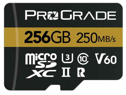 microSDXC UHS-II V60 Memory Card (250MBps)