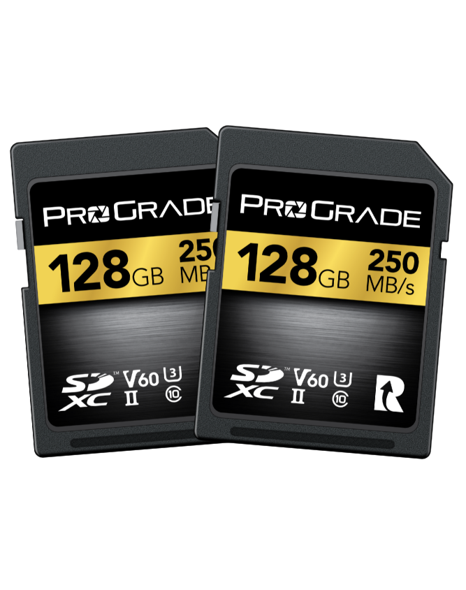 ProGrade Digital SDXC UHS-II V60 250R Gold Memory Card