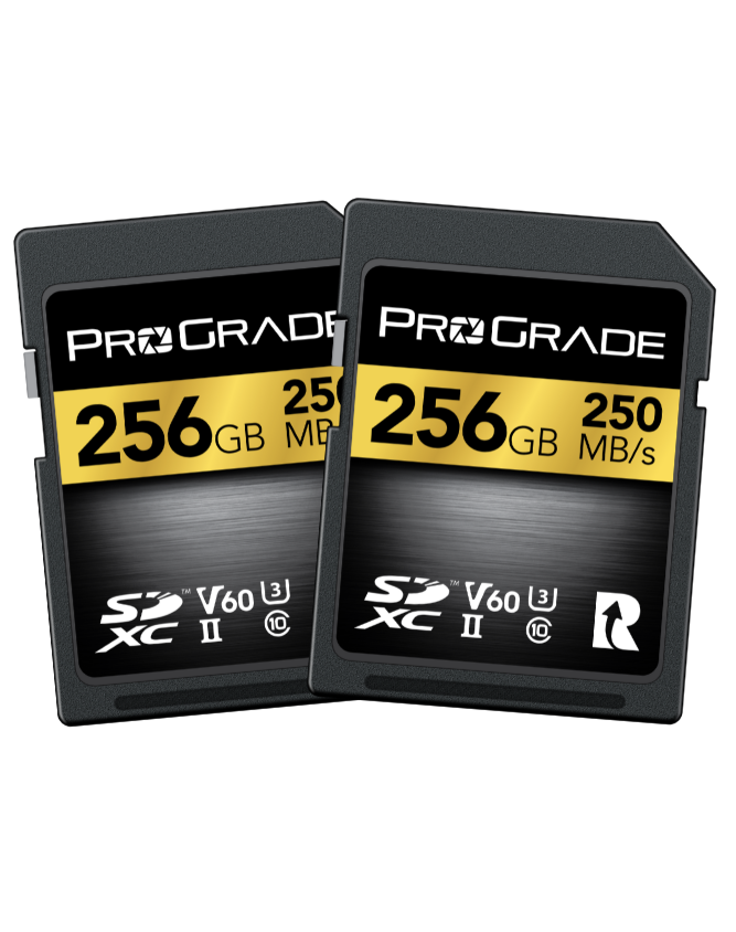 ProGrade Digital SDXC UHS-II V60 250R Gold Memory Card