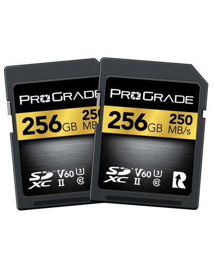 ProGrade Digital SDXC UHS-II V60 250R Gold Memory Card