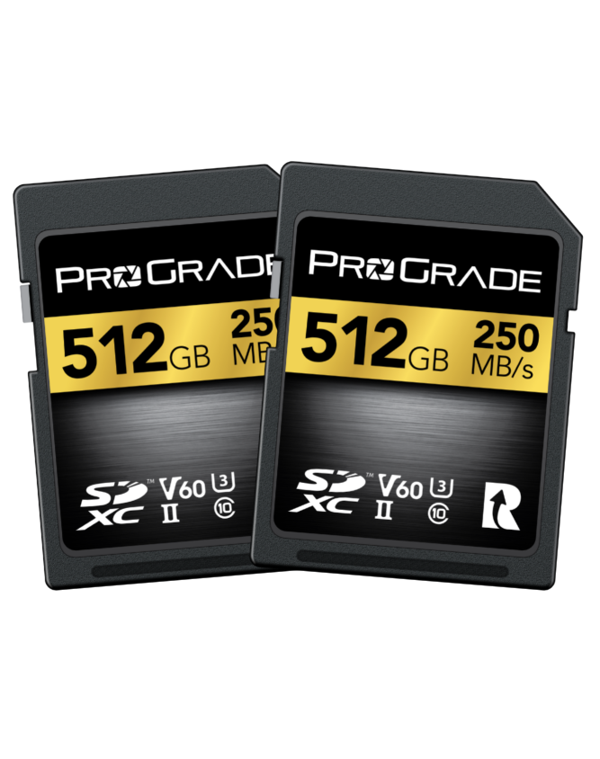 ProGrade Digital SDXC UHS-II V60 250R Gold Memory Card