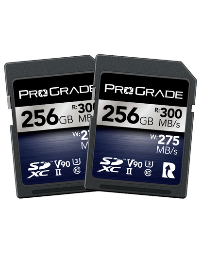 ProGrade Digital SDXC UHS-II V90 300R Iridium Memory Card