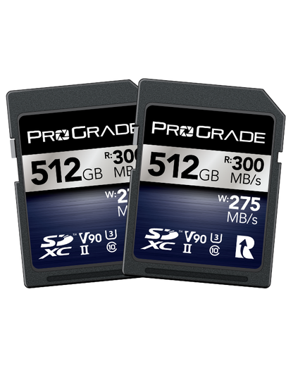 ProGrade Digital SDXC UHS-II V90 300R Iridium Memory Card