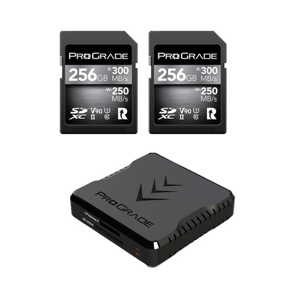 ProGrade Digital SD V90 2-pack