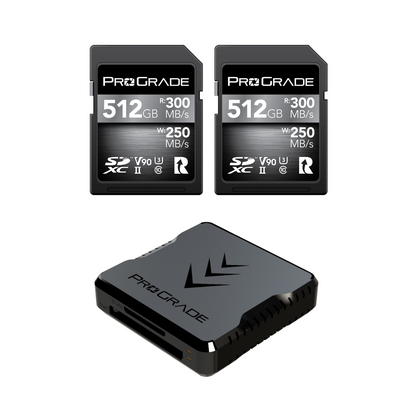 ProGrade Digital SD V90 2-pack