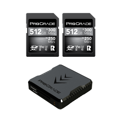 ProGrade Digital SD V90 2-pack
