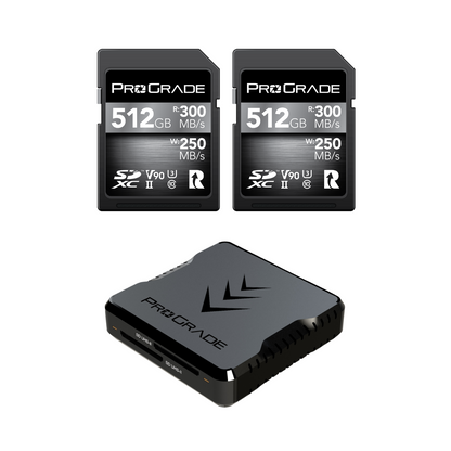 ProGrade Digital SD V90 2-pack
