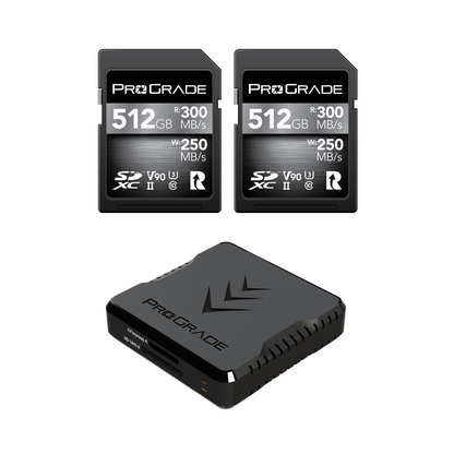 ProGrade Digital SD V90 2-pack