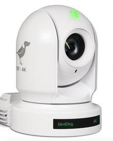 BirdDog EYES P400 4K 10-Bit Full NDI PTZ Camera with Sony Sensor